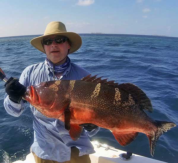 Popperfischen im Salzwasser